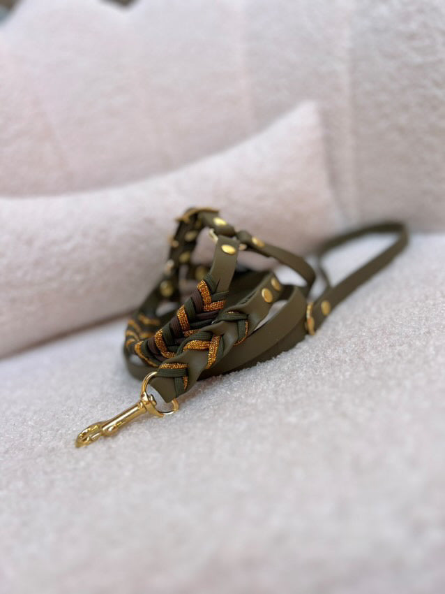 Harnas & Leash Army Green