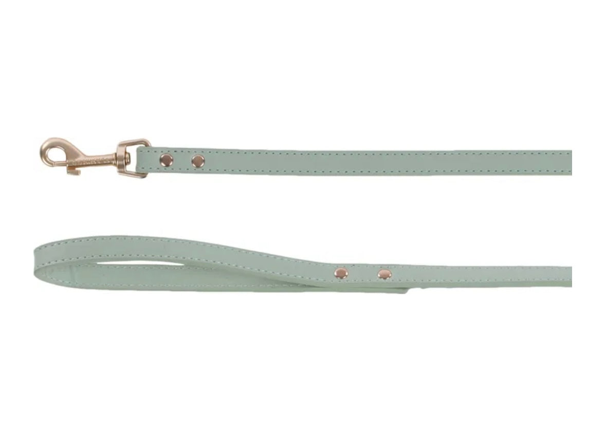 Bow set mint halsband & lijn